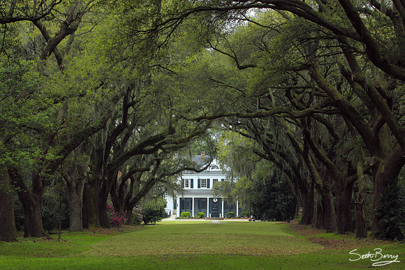 Charles Towne Landing
