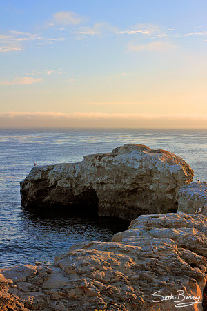 Natural Bridge, Santa Cruz, CA