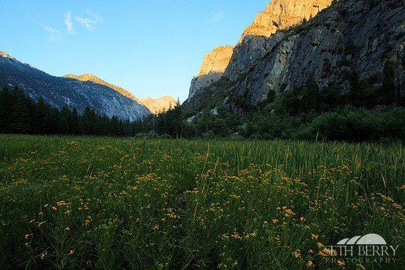 Zumwalt Meadow