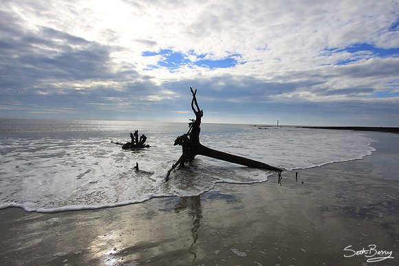 Hunting Island State Park