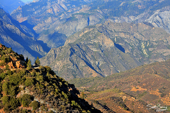 Kings Canyon National Park