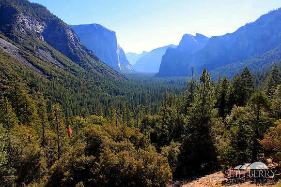 Tunnel View
