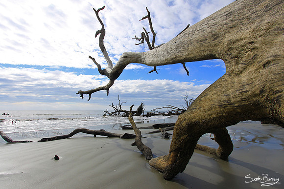 Hunting Island State Park