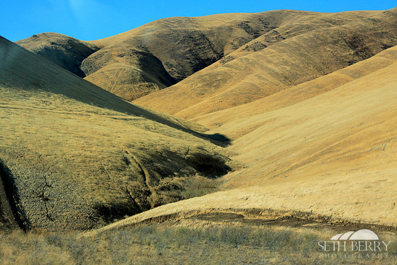 California Golden Hills