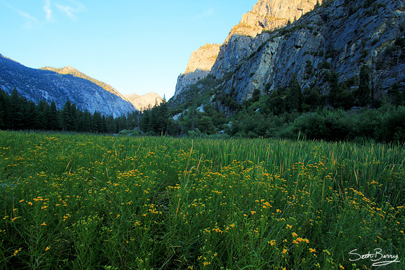 Zumwalt Meadow