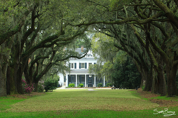 Charles Towne Landing