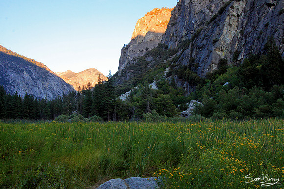 Zumwalt Meadow