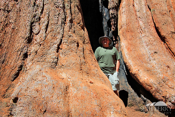 Sequoia National Park