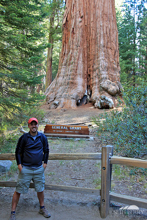 General Grant, Kings Canyon National Park
