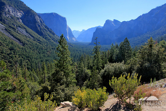 Tunnel View