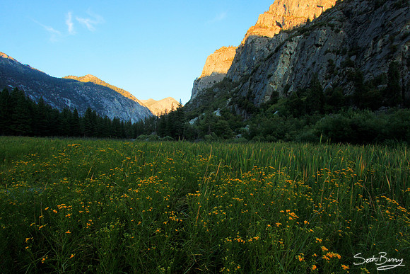 Zumwalt Meadow