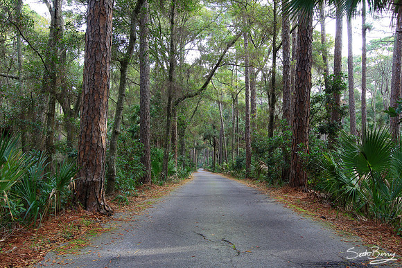 Hunting Island State Park