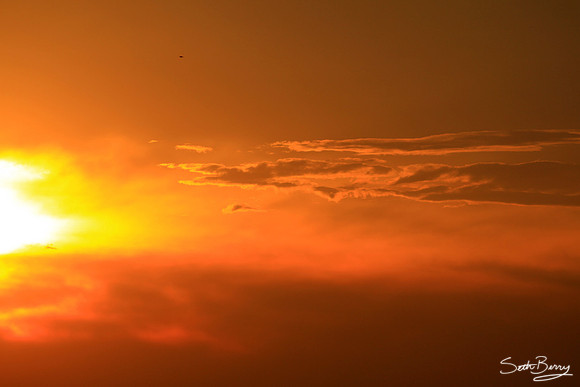 Into The Sun
