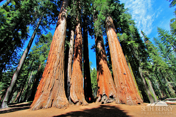 Sequoia National Park