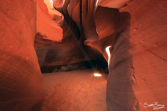 The Light Room