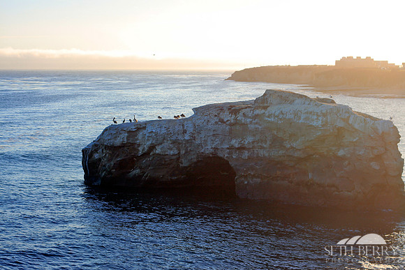 Natural Bridge, Santa Cruz, CA