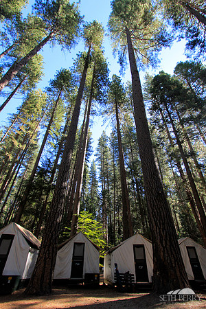 Curry Village, Yosemite Valley