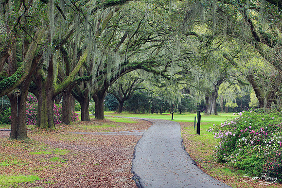 Charles Towne Landing