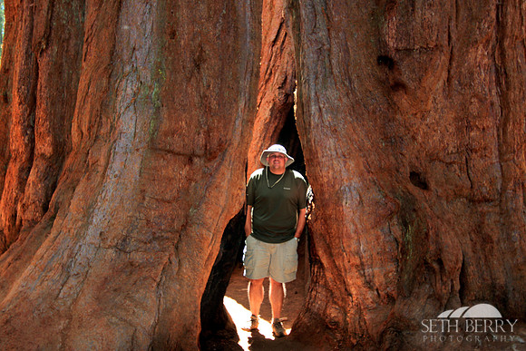 Sequoia National Park