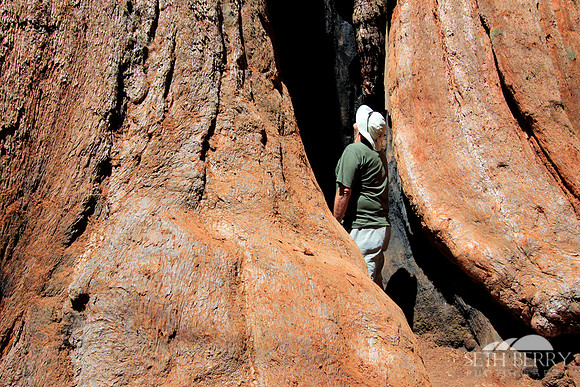 Sequoia National Park