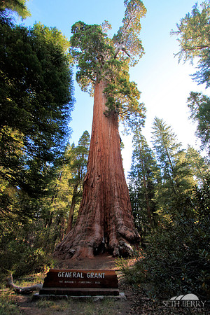 General Grant, Kings Canyon National Park