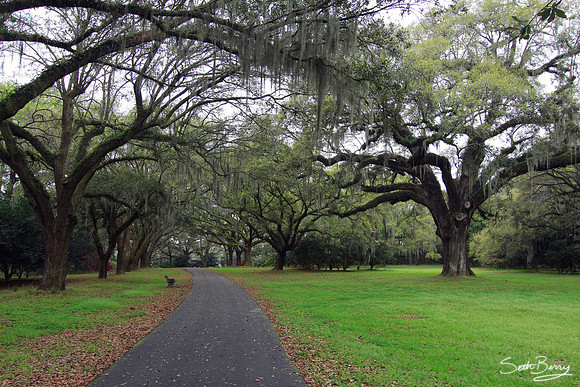 Charles Towne Landing