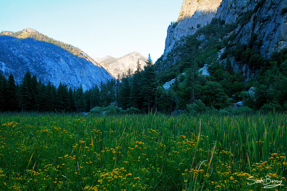 Zumwalt Meadow