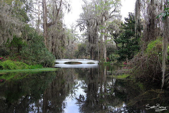 Magnolia Gardens