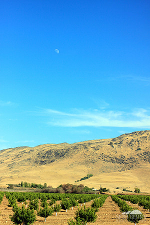 CA 180