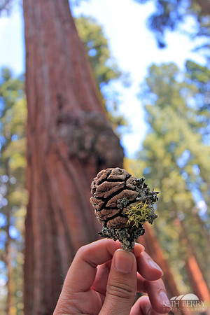 Large Things Come in Small Packages