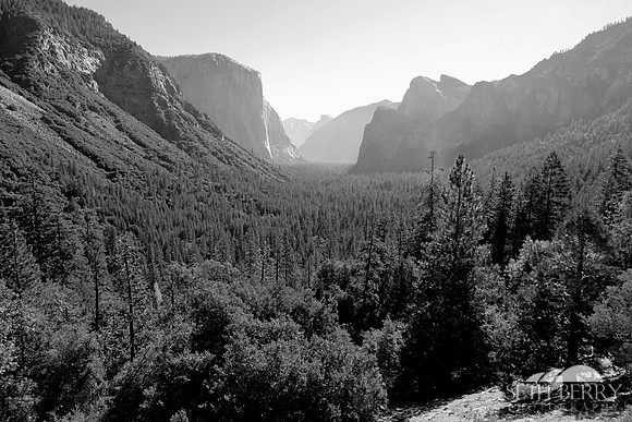 Tunnel View