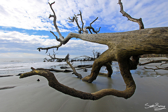 Hunting Island State Park