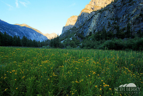 Zumwalt Meadow
