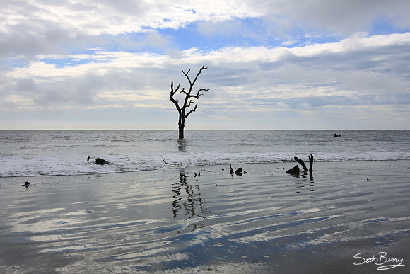 Hunting Island State Park