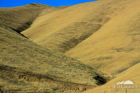 California Golden Hills
