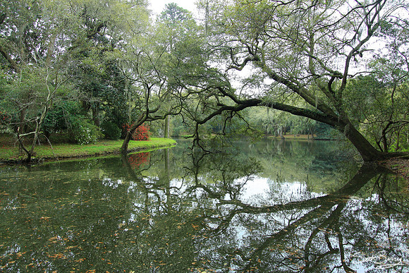 Charles Towne Landing
