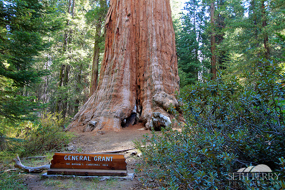 General Grant, Kings Canyon National Park