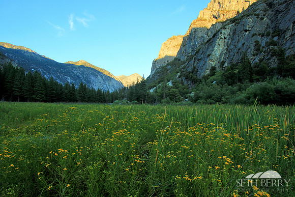 Zumwalt Meadow
