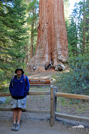 General Grant, Kings Canyon National Park