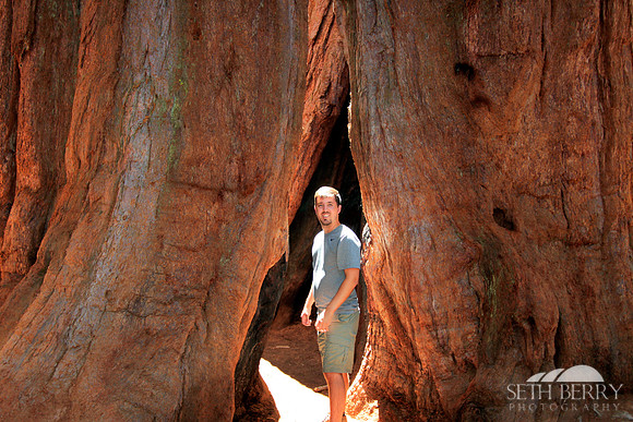 Sequoia National Park
