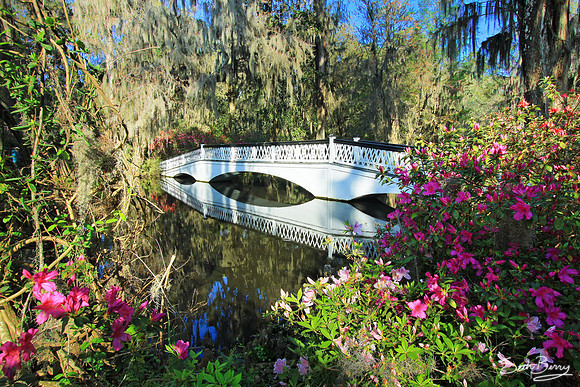 Southern Charm