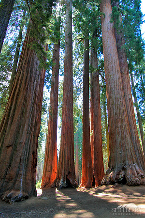Sequoia National Park