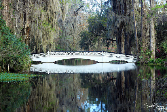 Magnolia Gardens