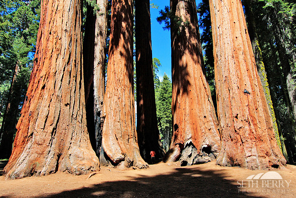Sequoia National Park