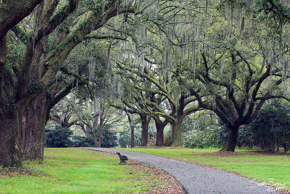 Charles Towne Landing