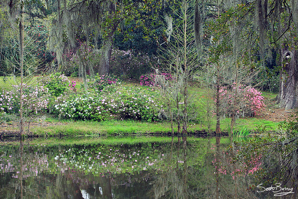 Charles Towne Landing