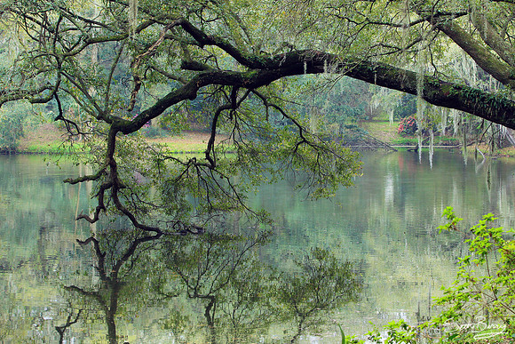 Charles Towne Landing