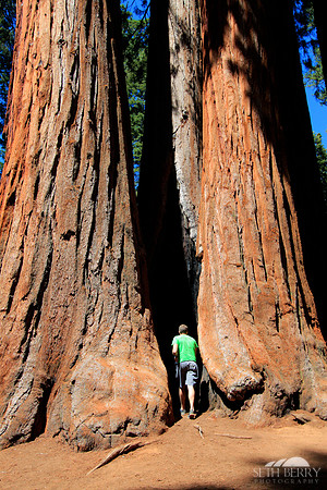 Sequoia National Park
