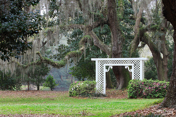 Charles Towne Landing