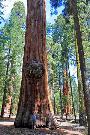 Sequoia National Park